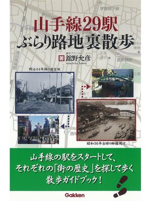 cover image of 山手線２９駅　ぶらり路地裏散歩　薄れゆく街の記憶を訪ねて